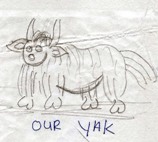 Il nostro yak - Disegno di Ringzin